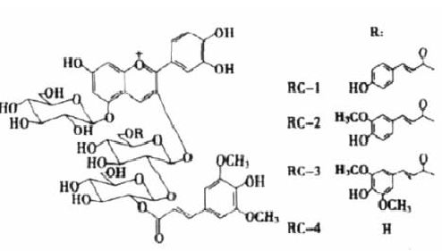 甘蓝红色素是安全 无毒的食品添加吗