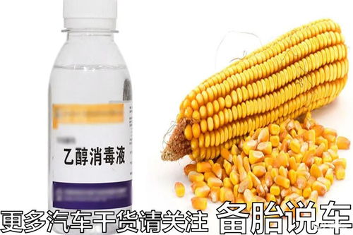 德国真的放弃乙醇汽油 为什么国内还大力推广 真相出人意料