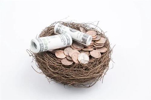 来伊份 华钰矿业终止发可转债 改道 定增,另有4公司早已布局