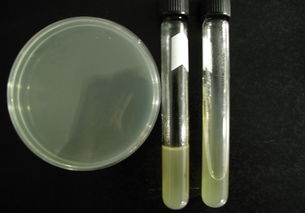 上海 乙醇产品 乙醇价格第107页